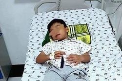 Ngậm kẹo ngủ quên, bé trai 7 tuổi nuốt que nhựa dài 7,5cm vào bụng