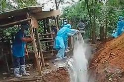 Thêm một tỉnh xuất hiện dịch tả lợn châu Phi