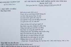 Tác phẩm 'Trước biển' vào đề môn Ngữ văn thi THPT quốc gia 2019