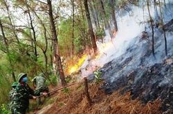 LLVT Quân khu 4 phối hợp dập tắt đám cháy rừng