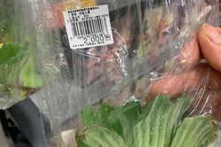 Sau vụ thanh niên vào siêu thị mua một quả vải, giới trẻ đua nhau trào lưu mua đúng một quả khiến nhiều người lắc đầu ngao ngán