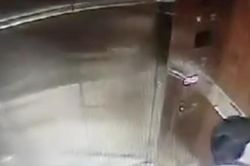 Chuyên gia pháp lý mổ xẻ vấn nạn tội phạm dâm ô trẻ em