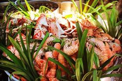 Khám phá ẩm thực Quy Nhơn với 11 món ăn ngon nức tiếng