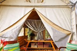 Cắm trại kiểu 'chanh sả' tại resort giữa lòng rừng núi Tây Nguyên