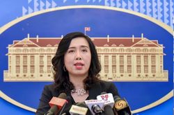 Việt Nam phản ứng vụ chồng Hàn đánh vợ Việt tàn nhẫn