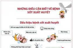 Bệnh nhân nhập viện do sốt xuất huyết gia tăng