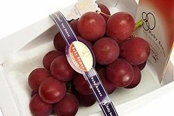 To bằng trái mận mà 'chất' ngang 3 chỉ vàng, nhà giàu muốn mua cũng xót