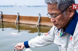 Chùm ảnh: Nước hồ Tây đổi màu trong veo khi sử dụng công nghệ Nhật Bản