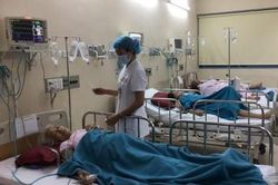 Y tế - Sức khỏe Tin tức y tế 73 người ngộ độc do thực phẩm nhiễm vi khuẩn tụ cầu Staphylococcus aureus