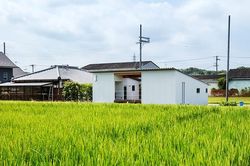 Nhà một tầng siêu đẹp giữa cánh đồng, chan hòa với thiên nhiên