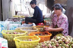 Giấy thông hành để măng cụt Dầu Tiếng vươn xa