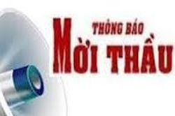 Chi nhánh công ty có đủ tư cách khi tham gia đấu thầu?