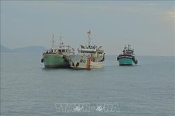 Tàu kiểm ngư lai dắt hai tàu cá gặp nạn vào bờ