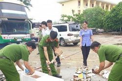 Hà Tĩnh: Công an tiêu hủy số lượng lớn 'hàng nóng' và vật liệu nổ
