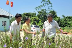 Xây dựng nông thôn mới kiểu mẫu: Nêu cao vai trò cán bộ, đảng viên