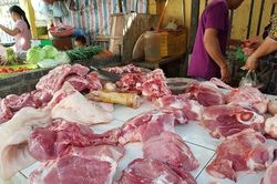 Giá lợn hơi tại miền Bắc phục hồi rõ rệt