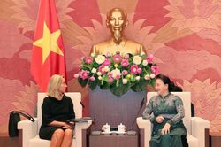 Việt Nam luôn coi EU là một trong những đối tác quan trọng hàng đầu