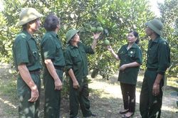 Hội CCB huyện Yên Sơn: Đoàn kết, giúp nhau phát triển kinh tế