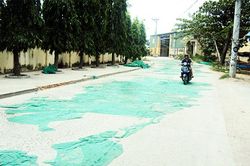 Phơi lưới trên đường