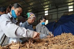 Để phụ nữ dân tộc thiểu số không bị bỏ lại phía sau