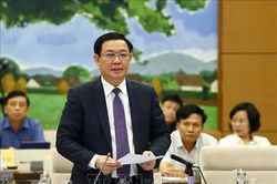 Phó Thủ tướng Vương Đình Huệ: Tham nhũng vặt nhưng hậu quả 'không vặt', như đê to vỡ bởi tổ mối