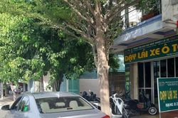 Ninh Thuận: Vì sao hàng trăm bộ đội, công an viên xuất ngũ không được học nghề lái xe?
