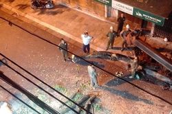 Lý do khiến cây sưa đỏ trên phố cổ Hà Nội bị chặt hạ trong đêm