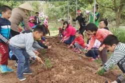 Phát triển du lịch nông nghiệp - tiềm năng cần được khai thác