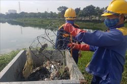 Cá chết tại hồ Yên Sở, Hà Nội