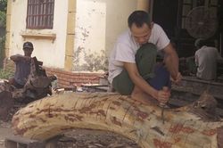 Hà Nội mở bán hồ sơ đấu giá lô gỗ sưa 'trăm tỷ'