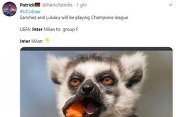 CĐV Inter than vãn vì 2 năm liền vào 'bảng tử thần' Champions League