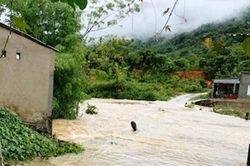 Nghệ An: Giải cứu 4 học sinh mắc kẹt giữa dòng lũ dữ