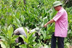 HTX Hồng Phước: Mở rộng liên kết, đánh thức thế mạnh địa phương