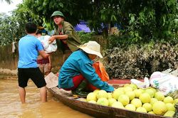 Mưa lũ khiến 5 người chết, người trồng bưởi đặc sản lo tổn thất trăm bề