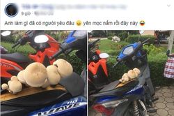 Anh chàng than ế đăng bức ảnh khiến dân mạng cười nghiêng ngả