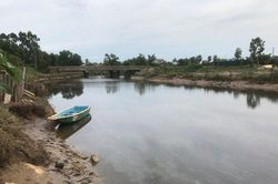 Hà Tĩnh: Xuất hiện cá sấu dưới sông cầu Đông