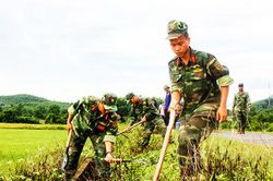 Phát huy sức trẻ trong lực lượng vũ trang