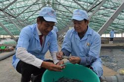 Hộ nghèo giảm mạnh sau 10 năm xây dựng nông thôn mới