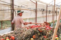 Chuyện người nông dân với môi trường nông thôn