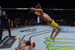 Võ sĩ UFC nhào lộn trước đối thủ và cái kết bất ngờ