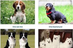 Trắc nghiệm: Điểm đáng mến ở bạn là gì?