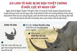 3/5 loài tê giác bị đe dọa tuyệt chủng ở mức cực kỳ nguy cấp