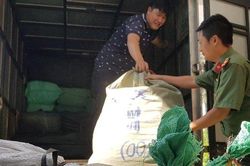 Thu giữ gần 6 tạ thuốc nam của lương y tổ chức hội thảo 'chui' chữa bệnh tiểu đường