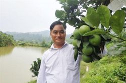 Hà Tĩnh: Người sở hữu đồi cam lớn nhất huyện Vũ Quang