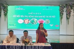 Gỡ vướng, thúc đẩy kết nối tiêu thụ nông sản Nam bộ tại Hà Nội