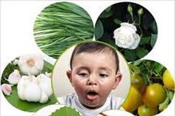 Những bài thuốc dân gian trị ho hiệu quả