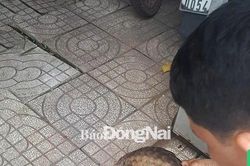 Công an huyện Vĩnh Cửu: Tập trung truy quét, bảo vệ rừng
