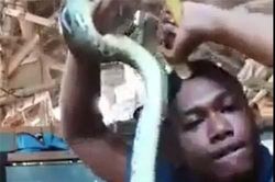 CLIP: Nam thanh nhiên nhận cái kết 'đắng' khi chọc giận 'thú cưng'