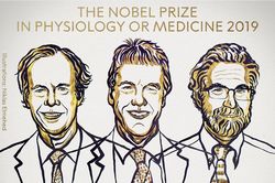 Xướng tên 3 nhà khoa học giành giải Nobel Y học