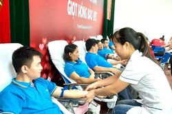 Hơn 200 cán bộ, nhân viên Công ty Bảo Việt và Bảo Việt Nhân Thọ tham gia hiến máu
